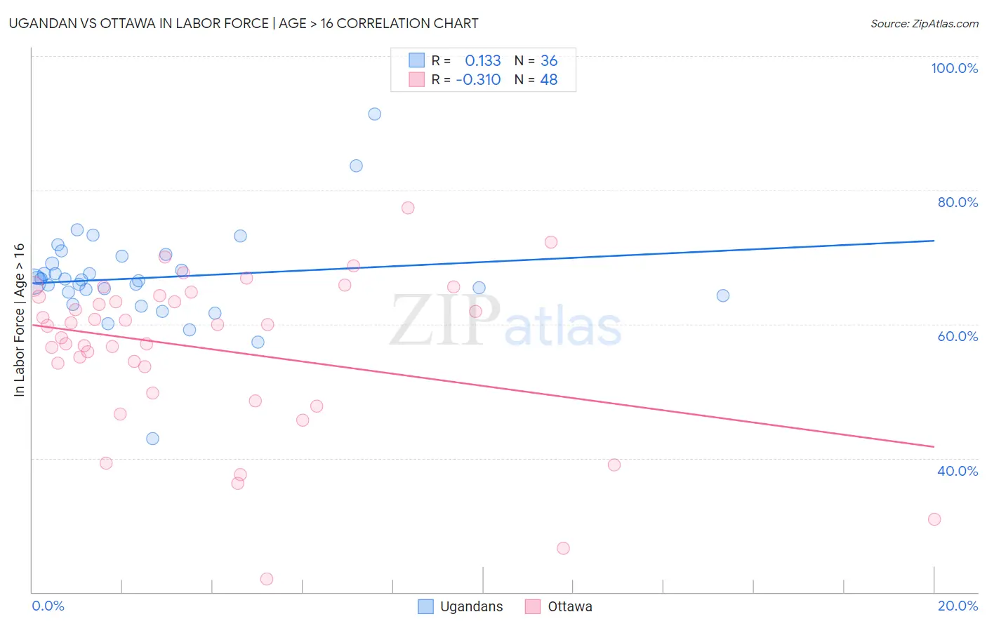 Ugandan vs Ottawa In Labor Force | Age > 16