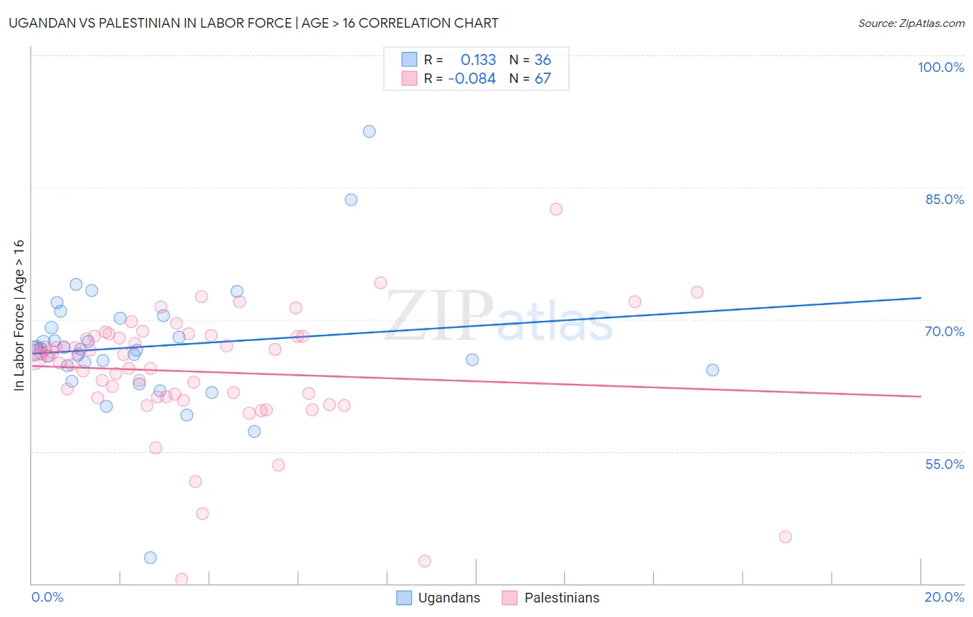 Ugandan vs Palestinian In Labor Force | Age > 16