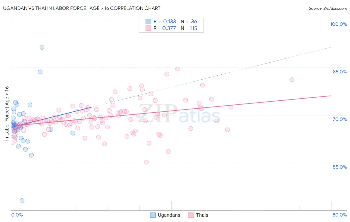 Ugandan vs Thai In Labor Force | Age > 16