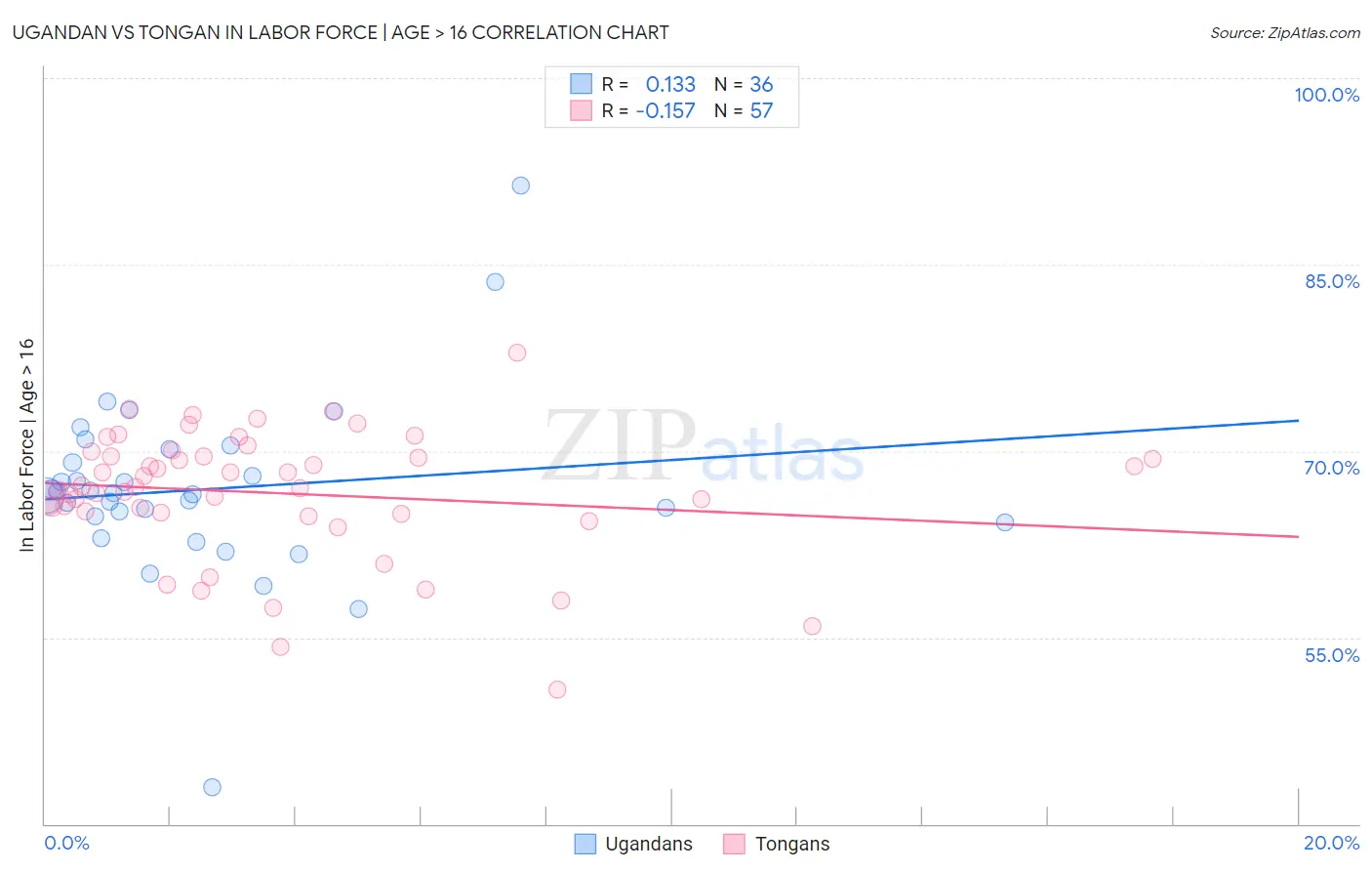 Ugandan vs Tongan In Labor Force | Age > 16