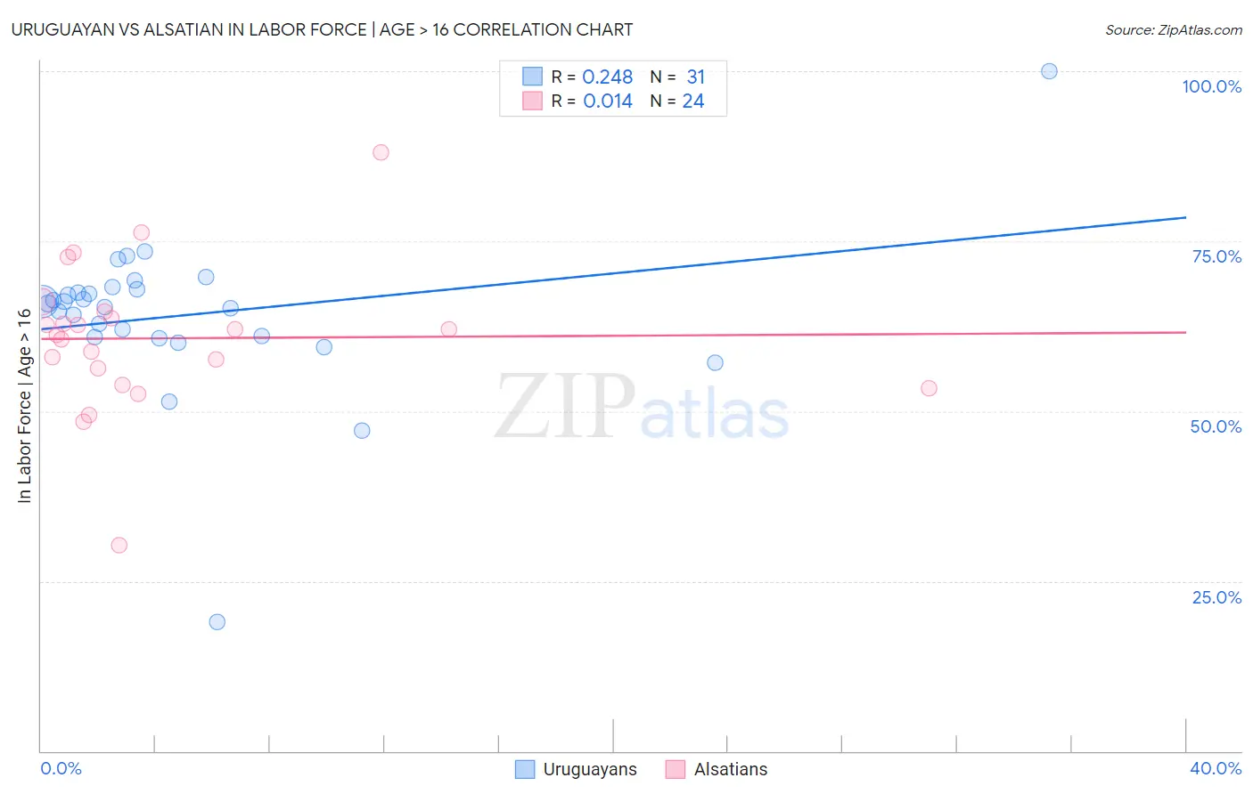 Uruguayan vs Alsatian In Labor Force | Age > 16