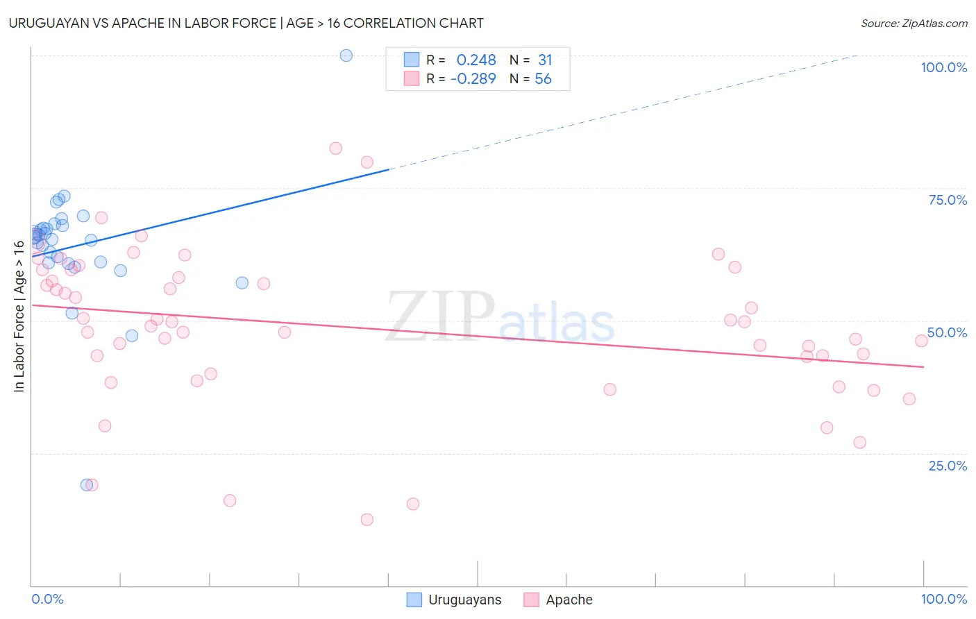 Uruguayan vs Apache In Labor Force | Age > 16