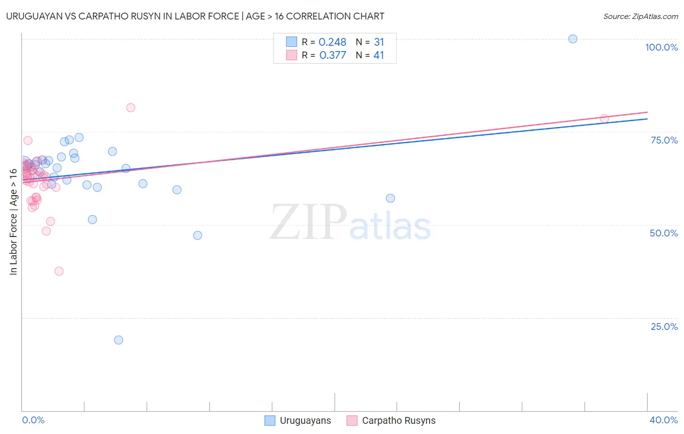 Uruguayan vs Carpatho Rusyn In Labor Force | Age > 16
