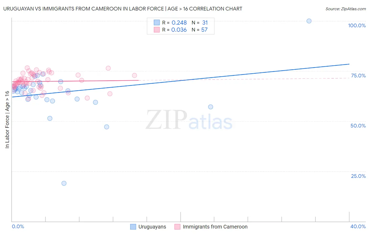 Uruguayan vs Immigrants from Cameroon In Labor Force | Age > 16