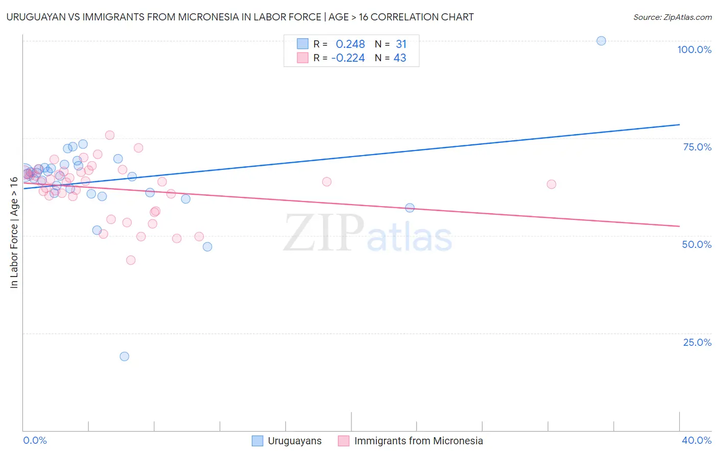 Uruguayan vs Immigrants from Micronesia In Labor Force | Age > 16