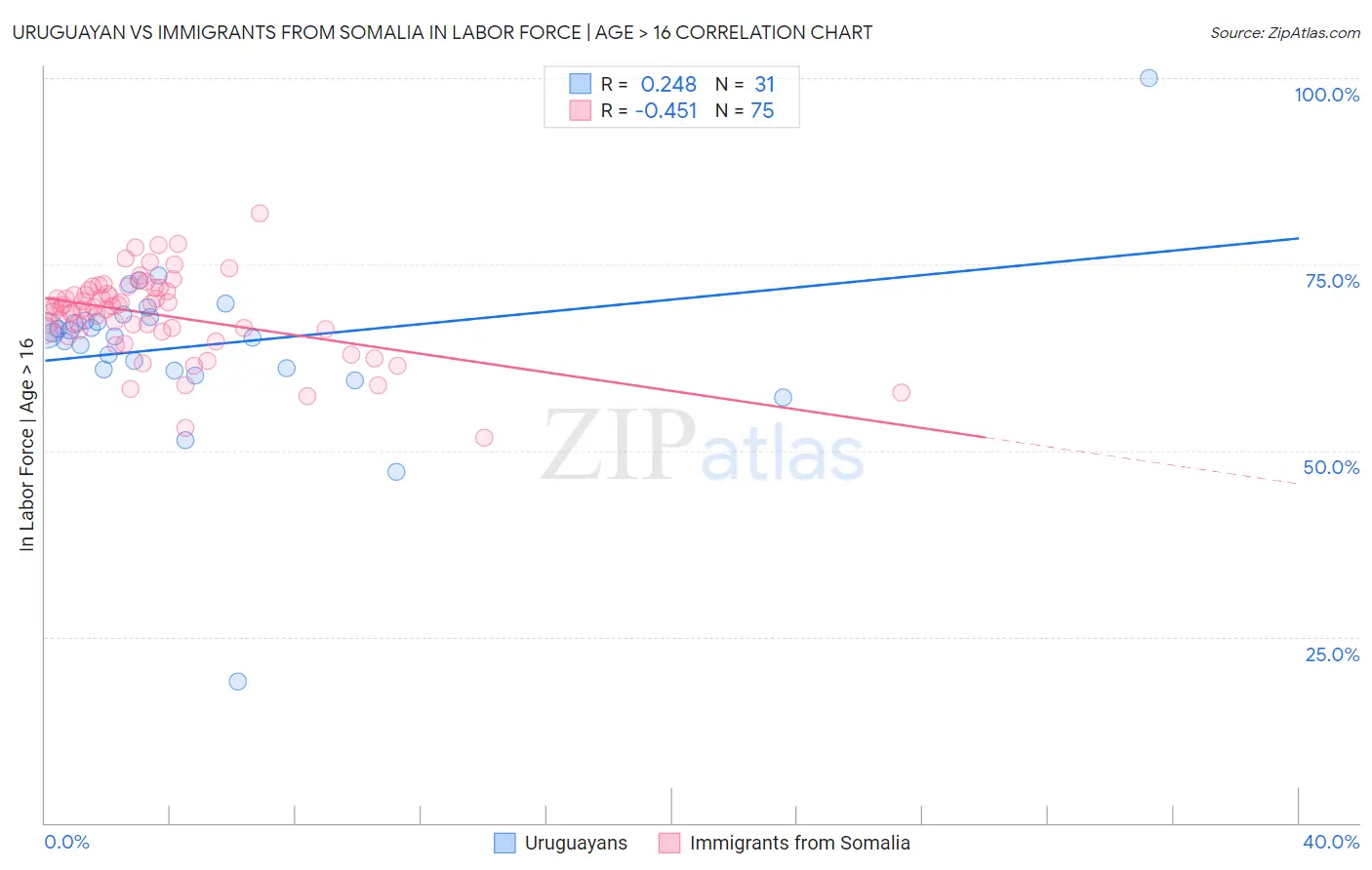 Uruguayan vs Immigrants from Somalia In Labor Force | Age > 16