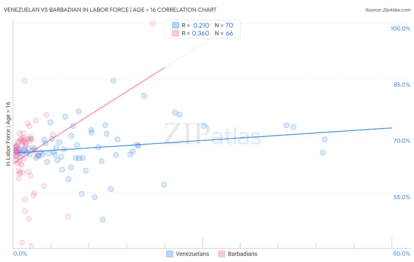Venezuelan vs Barbadian In Labor Force | Age > 16