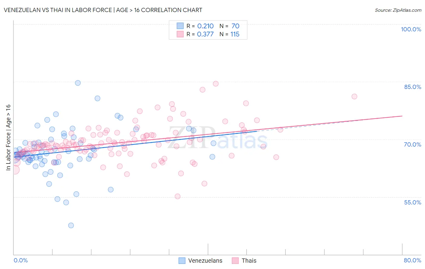 Venezuelan vs Thai In Labor Force | Age > 16