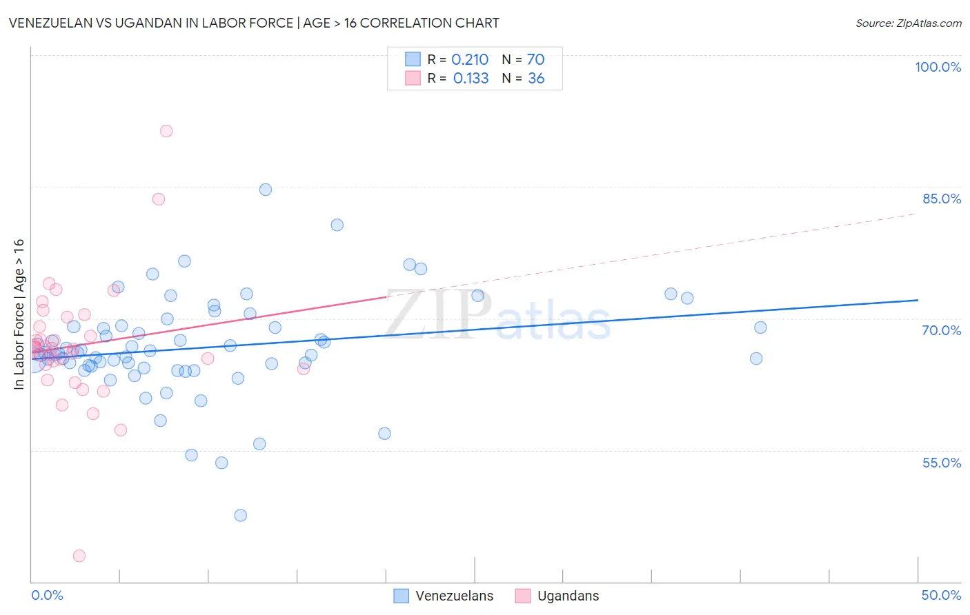 Venezuelan vs Ugandan In Labor Force | Age > 16