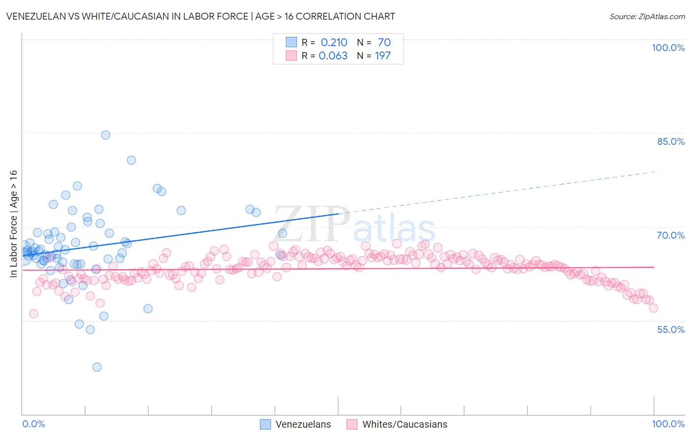 Venezuelan vs White/Caucasian In Labor Force | Age > 16