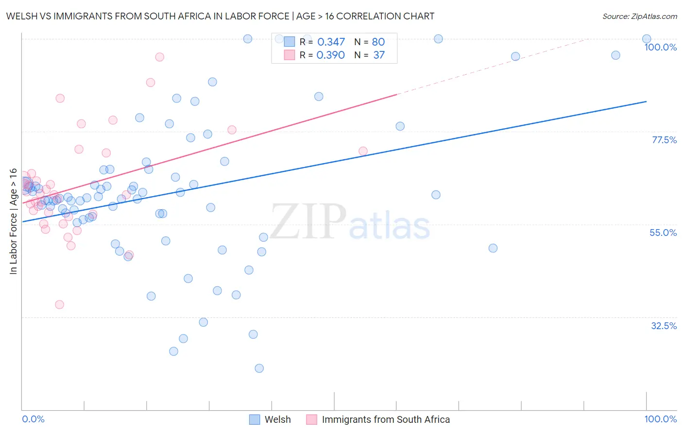 Welsh vs Immigrants from South Africa In Labor Force | Age > 16
