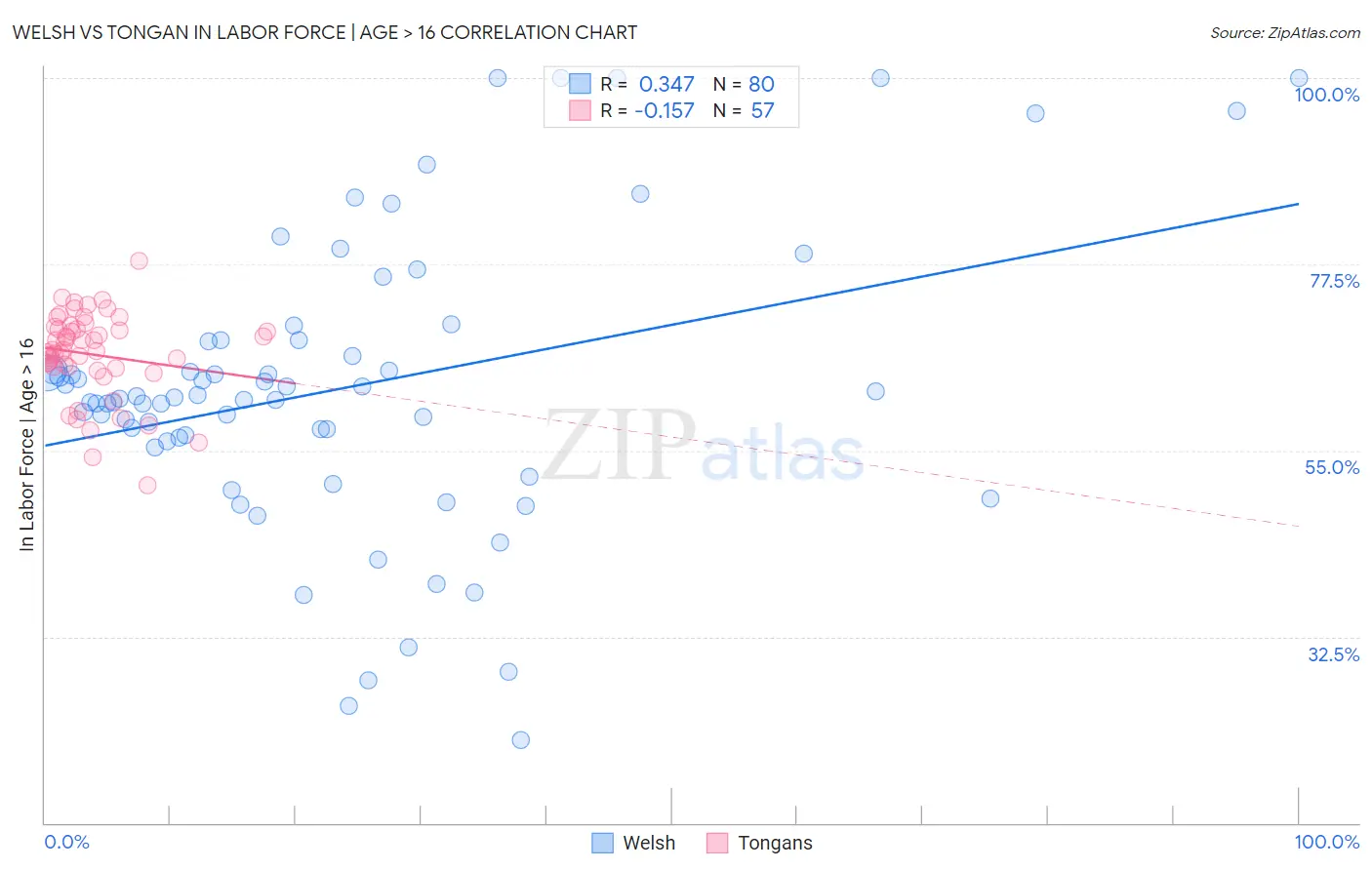 Welsh vs Tongan In Labor Force | Age > 16