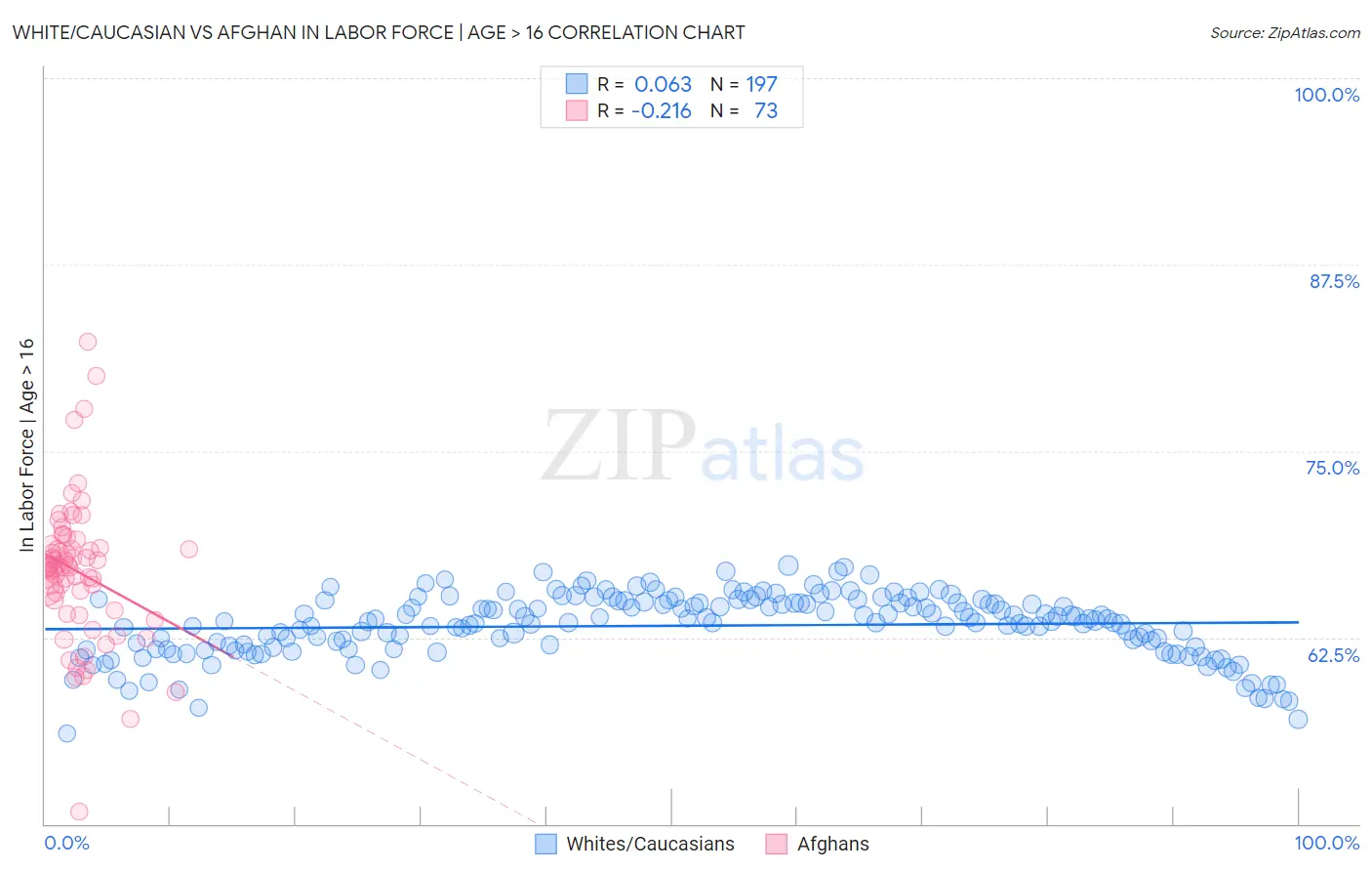 White/Caucasian vs Afghan In Labor Force | Age > 16