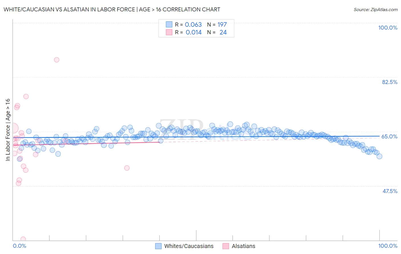 White/Caucasian vs Alsatian In Labor Force | Age > 16