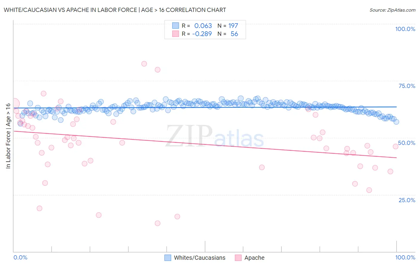 White/Caucasian vs Apache In Labor Force | Age > 16