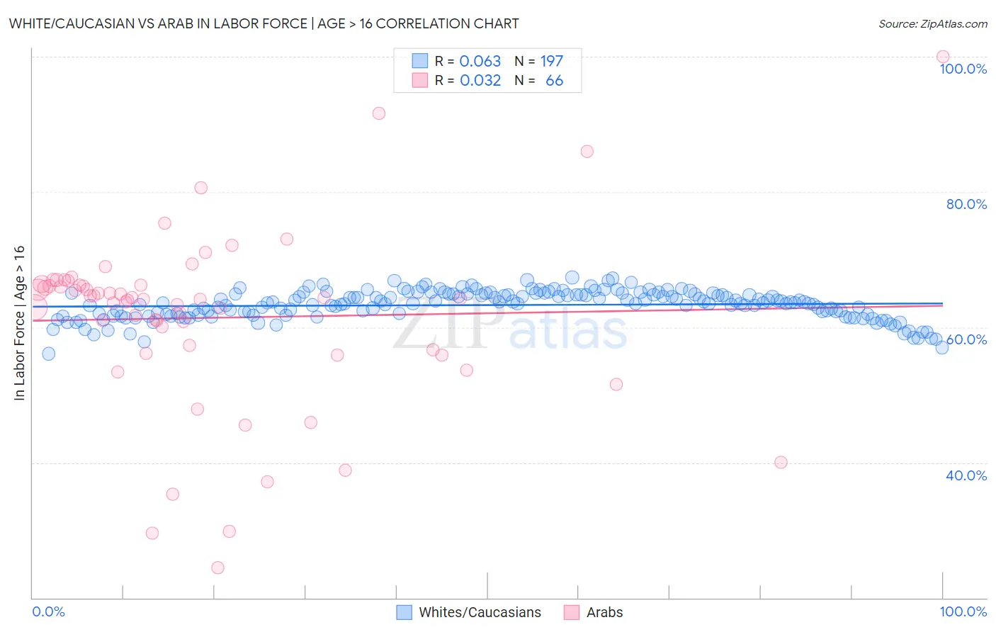 White/Caucasian vs Arab In Labor Force | Age > 16