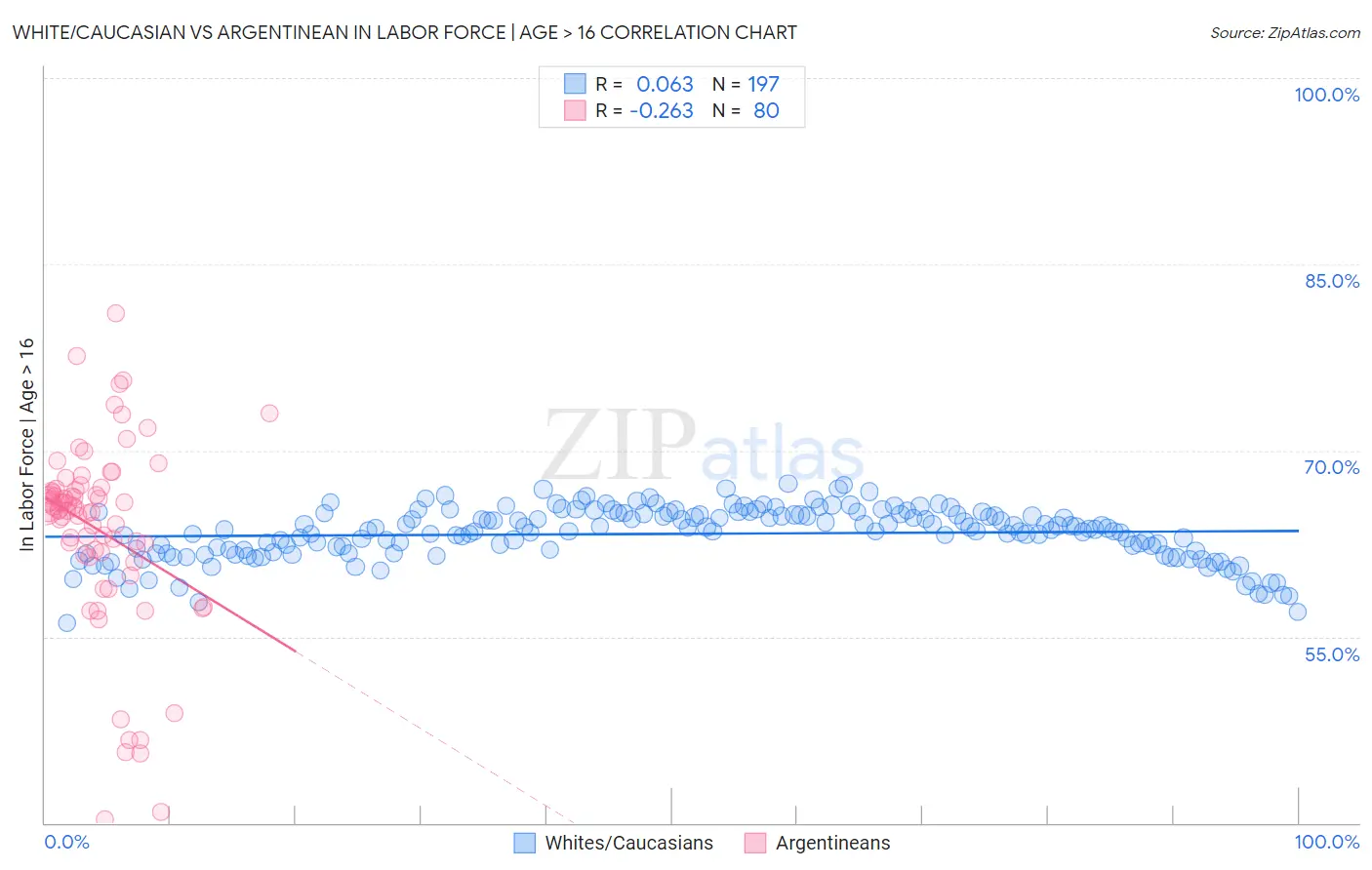 White/Caucasian vs Argentinean In Labor Force | Age > 16