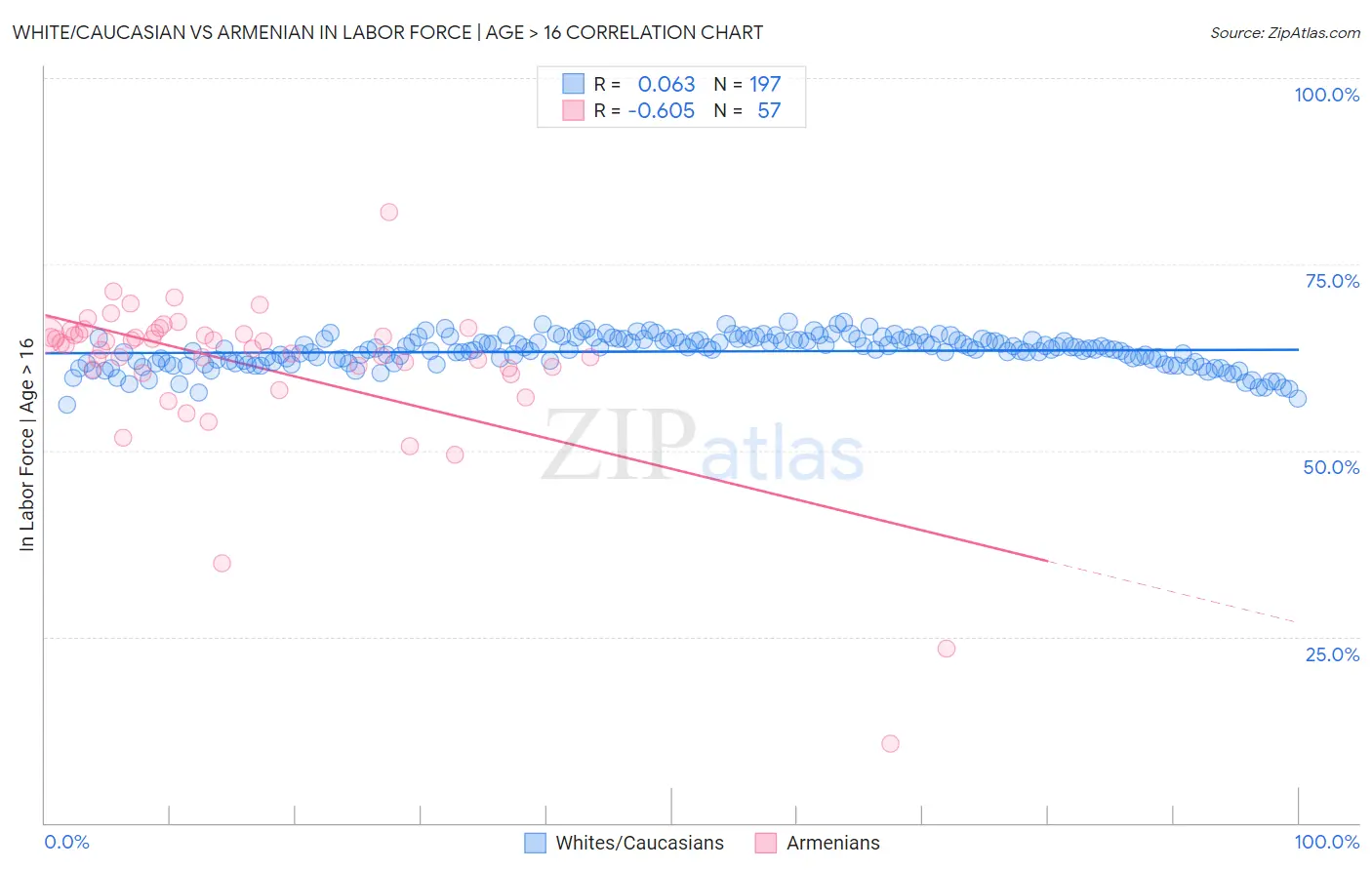 White/Caucasian vs Armenian In Labor Force | Age > 16