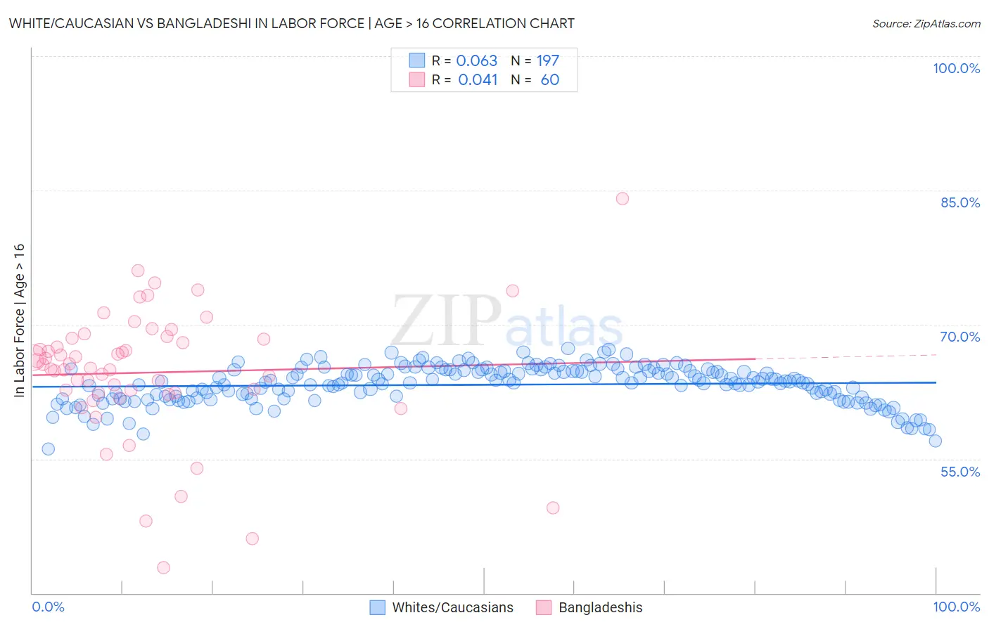 White/Caucasian vs Bangladeshi In Labor Force | Age > 16