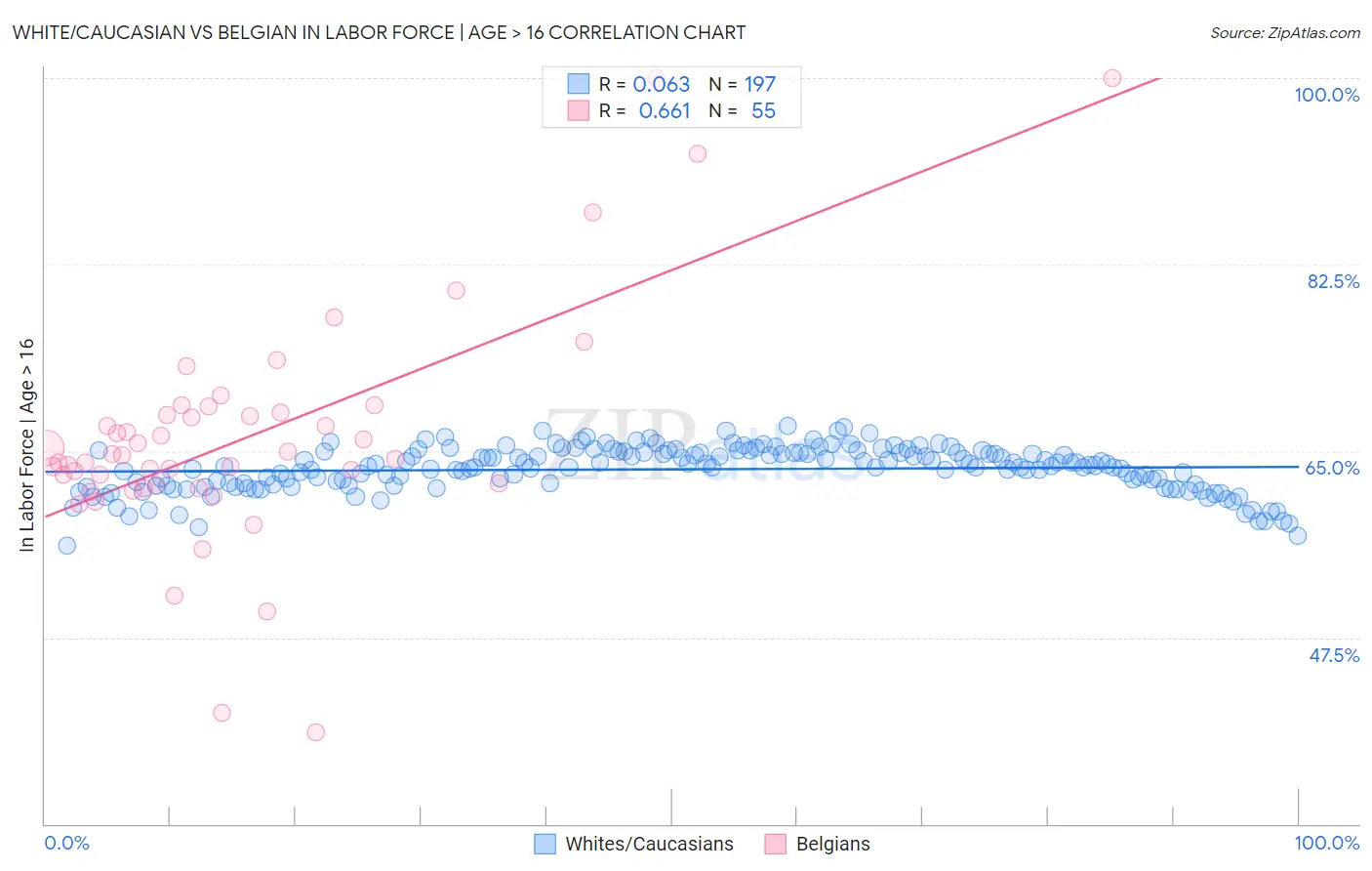 White/Caucasian vs Belgian In Labor Force | Age > 16