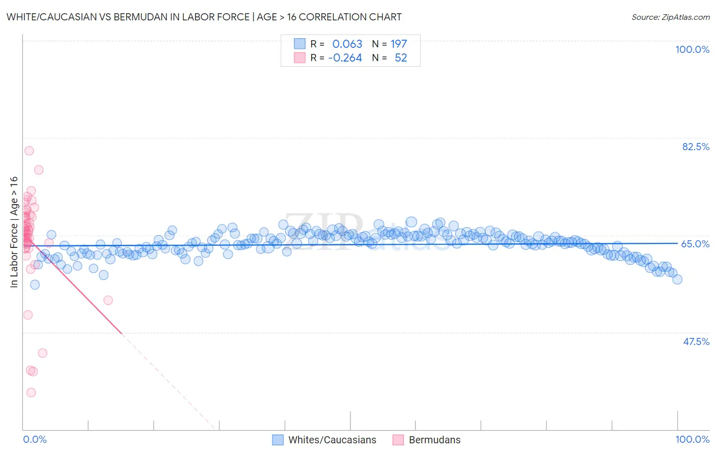 White/Caucasian vs Bermudan In Labor Force | Age > 16