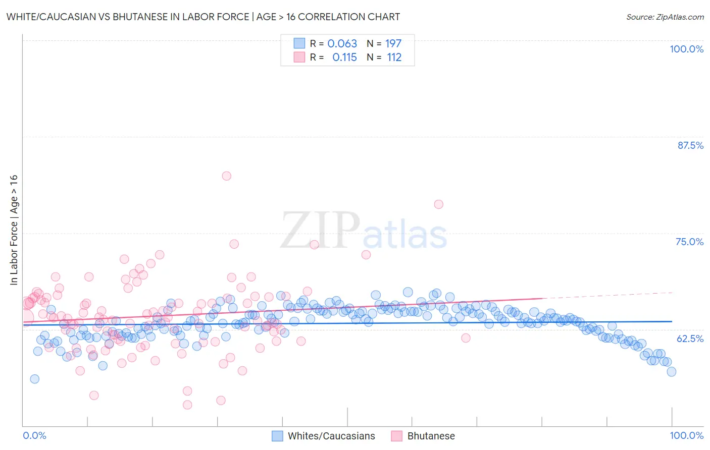 White/Caucasian vs Bhutanese In Labor Force | Age > 16