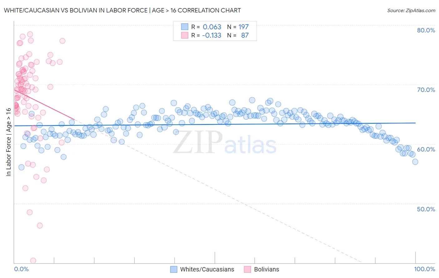 White/Caucasian vs Bolivian In Labor Force | Age > 16