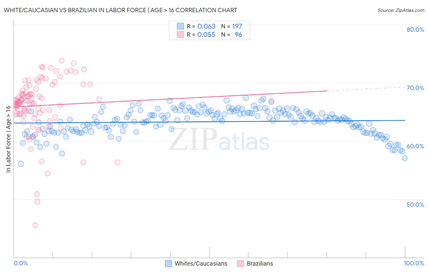 White/Caucasian vs Brazilian In Labor Force | Age > 16