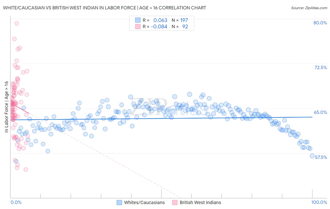 White/Caucasian vs British West Indian In Labor Force | Age > 16