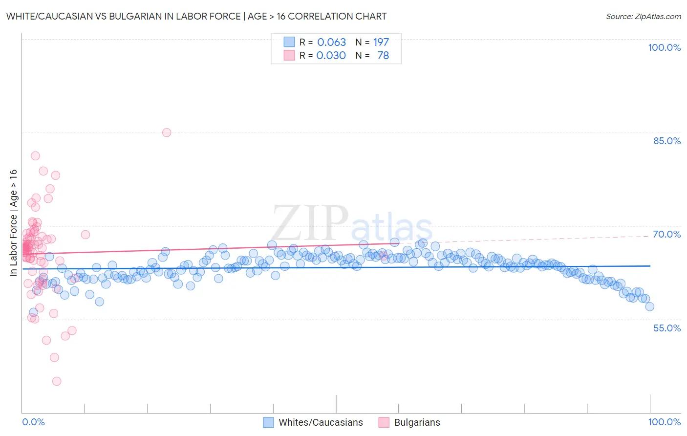 White/Caucasian vs Bulgarian In Labor Force | Age > 16