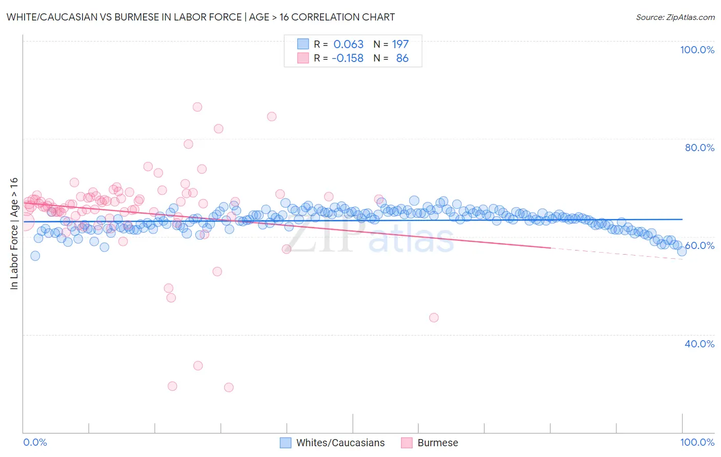 White/Caucasian vs Burmese In Labor Force | Age > 16