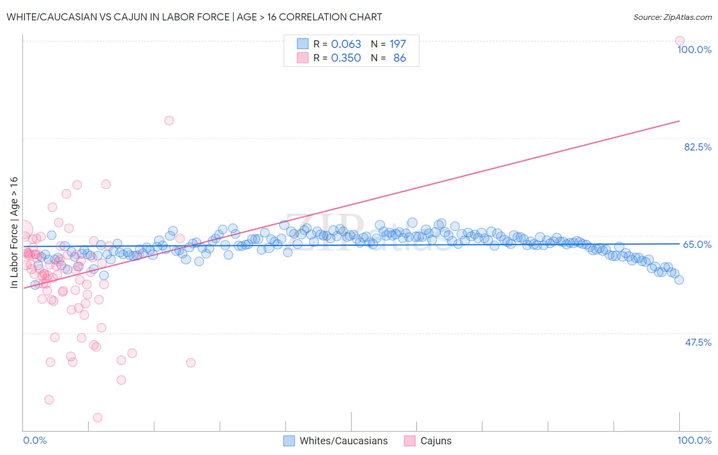 White/Caucasian vs Cajun In Labor Force | Age > 16