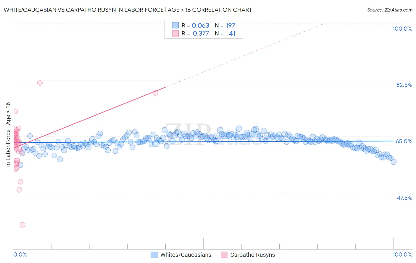 White/Caucasian vs Carpatho Rusyn In Labor Force | Age > 16