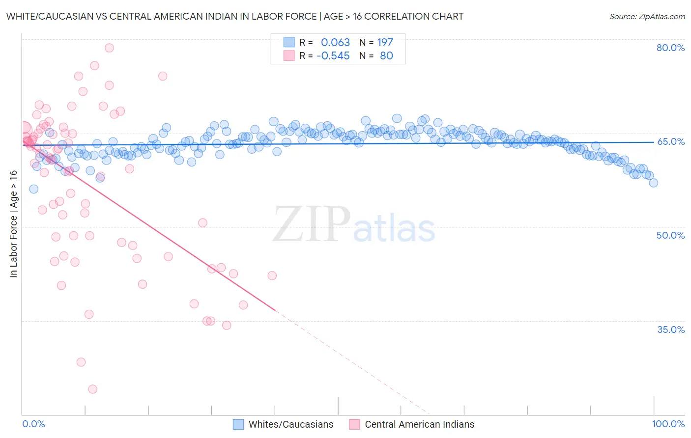 White/Caucasian vs Central American Indian In Labor Force | Age > 16