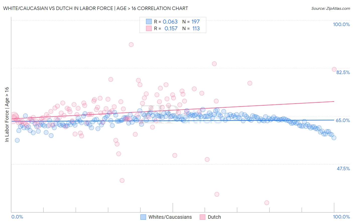 White/Caucasian vs Dutch In Labor Force | Age > 16