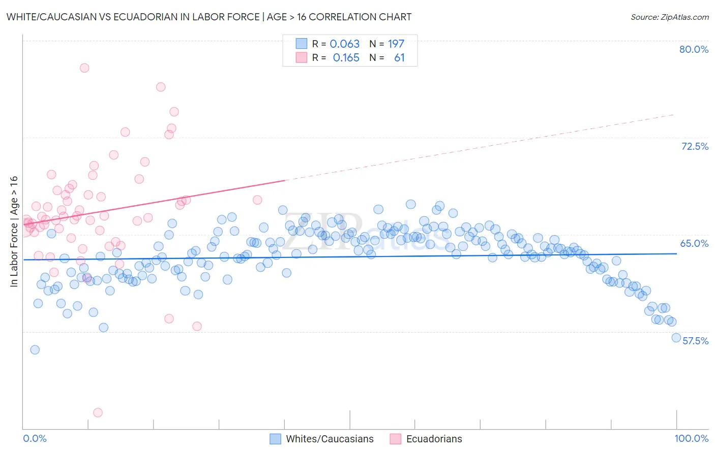 White/Caucasian vs Ecuadorian In Labor Force | Age > 16