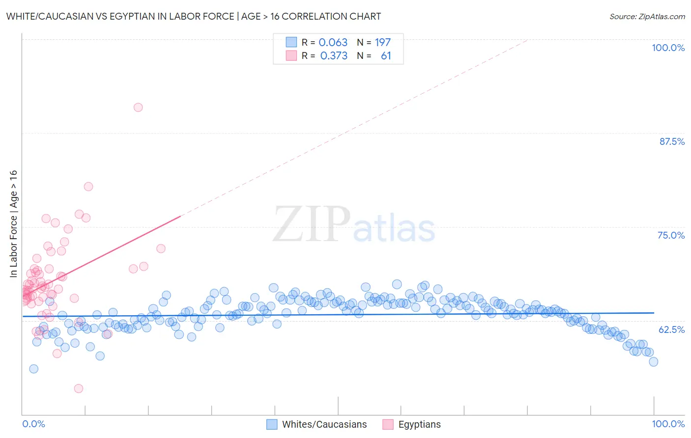 White/Caucasian vs Egyptian In Labor Force | Age > 16