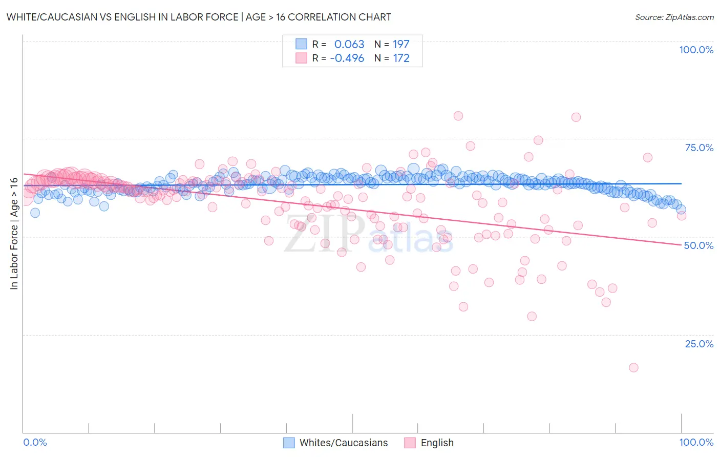 White/Caucasian vs English In Labor Force | Age > 16