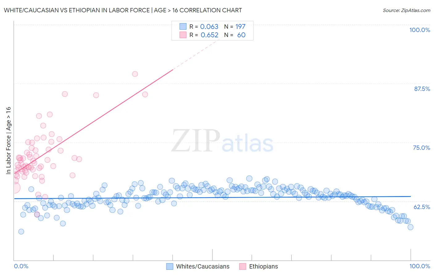 White/Caucasian vs Ethiopian In Labor Force | Age > 16