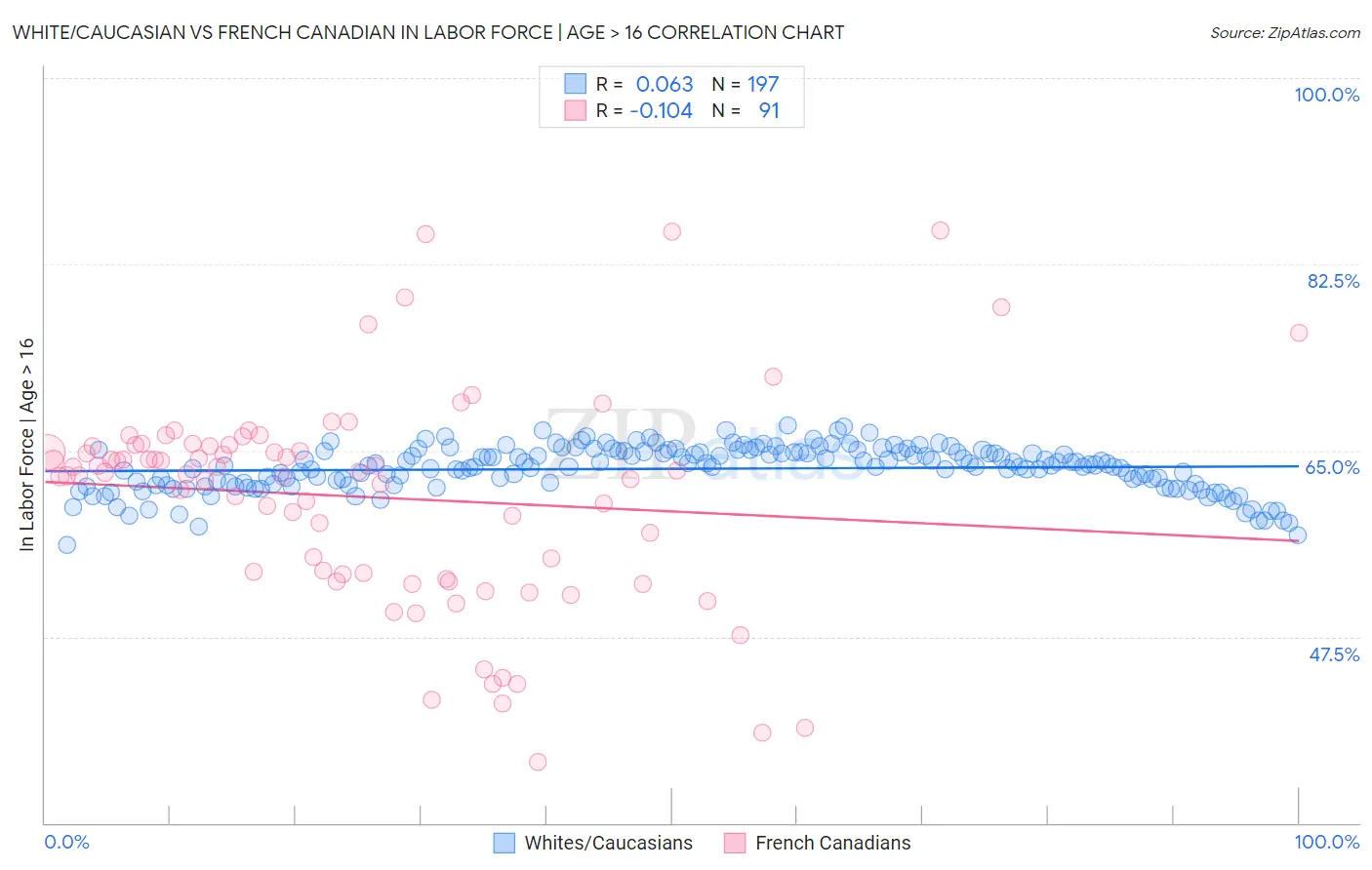 White/Caucasian vs French Canadian In Labor Force | Age > 16