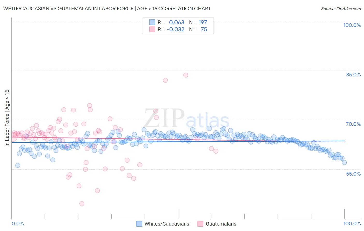 White/Caucasian vs Guatemalan In Labor Force | Age > 16