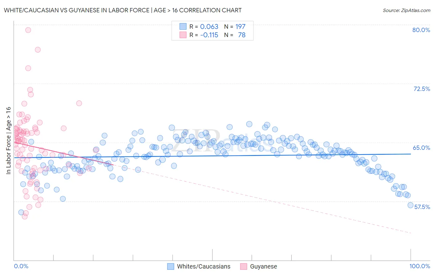 White/Caucasian vs Guyanese In Labor Force | Age > 16