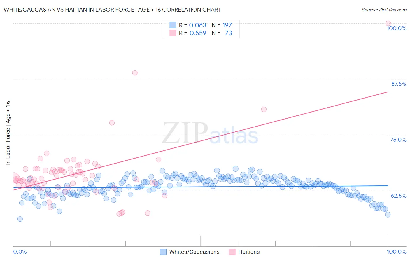 White/Caucasian vs Haitian In Labor Force | Age > 16