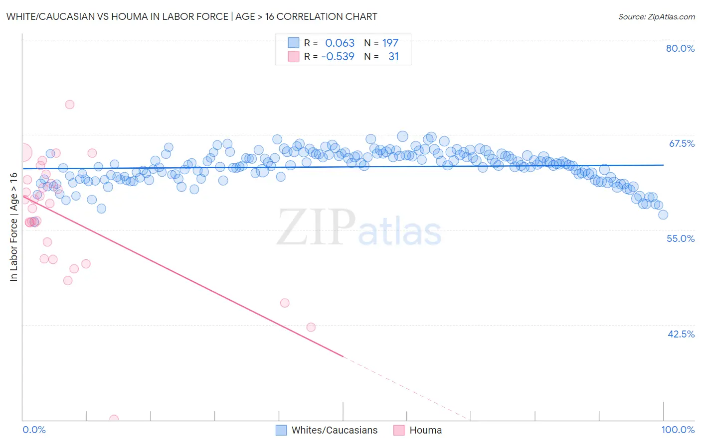 White/Caucasian vs Houma In Labor Force | Age > 16