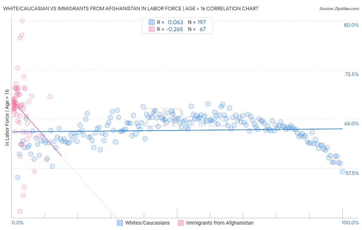 White/Caucasian vs Immigrants from Afghanistan In Labor Force | Age > 16