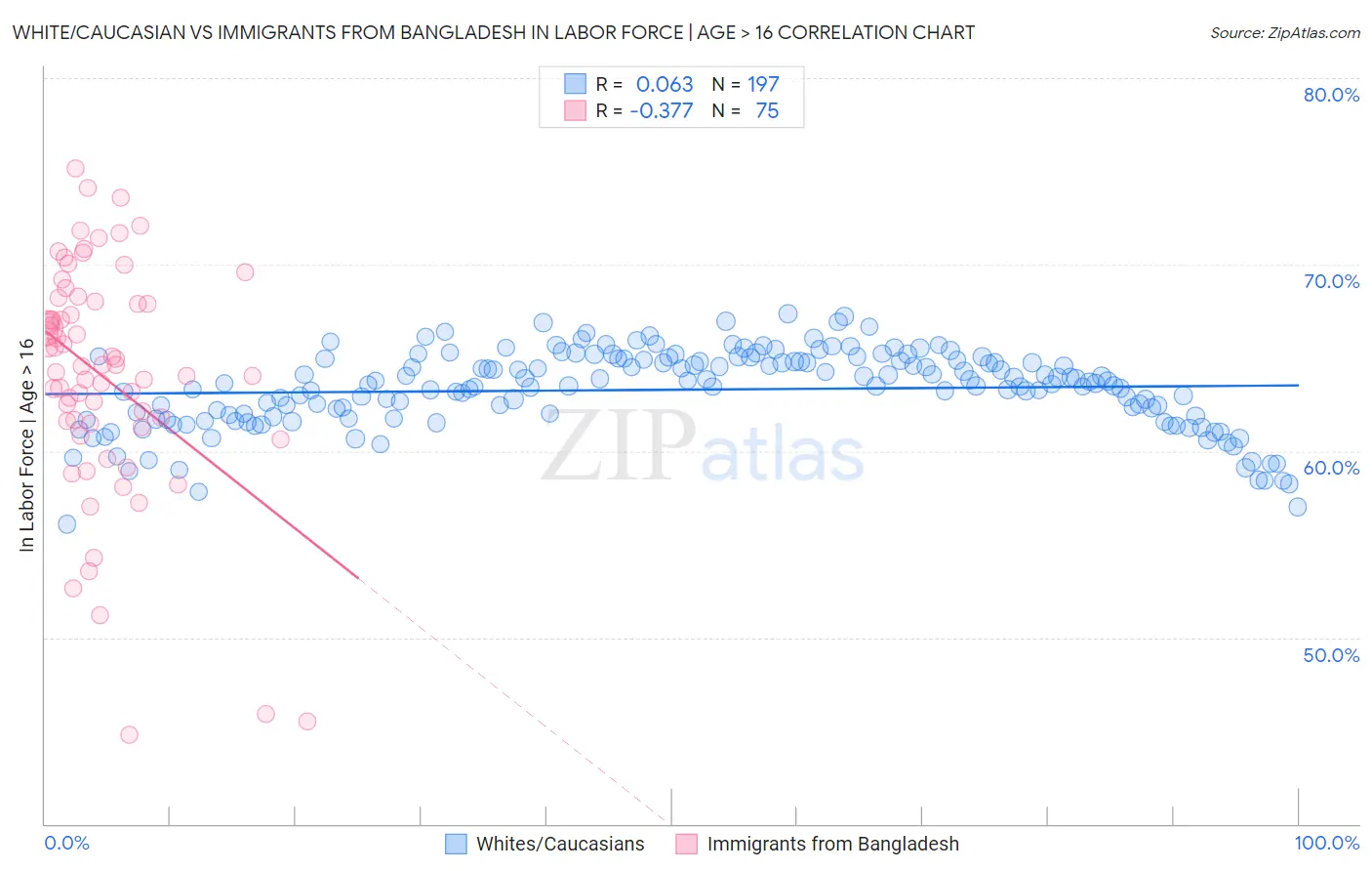 White/Caucasian vs Immigrants from Bangladesh In Labor Force | Age > 16