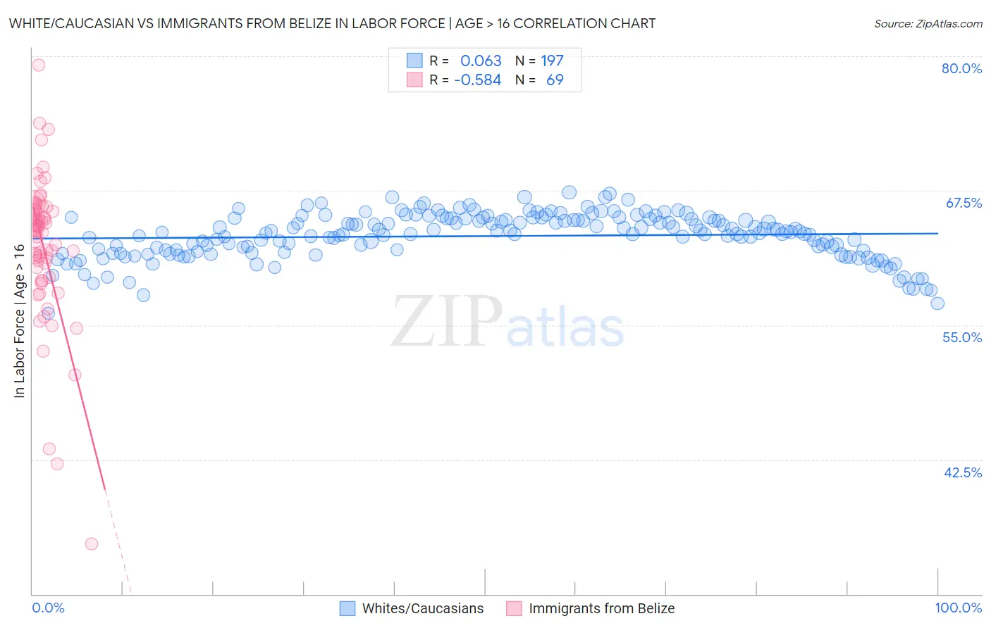 White/Caucasian vs Immigrants from Belize In Labor Force | Age > 16