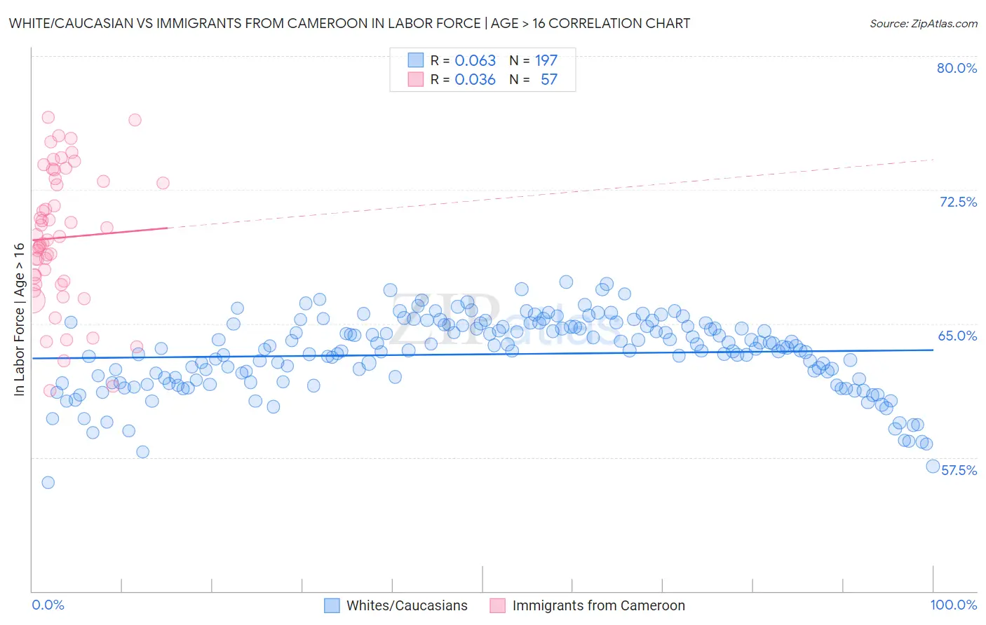 White/Caucasian vs Immigrants from Cameroon In Labor Force | Age > 16