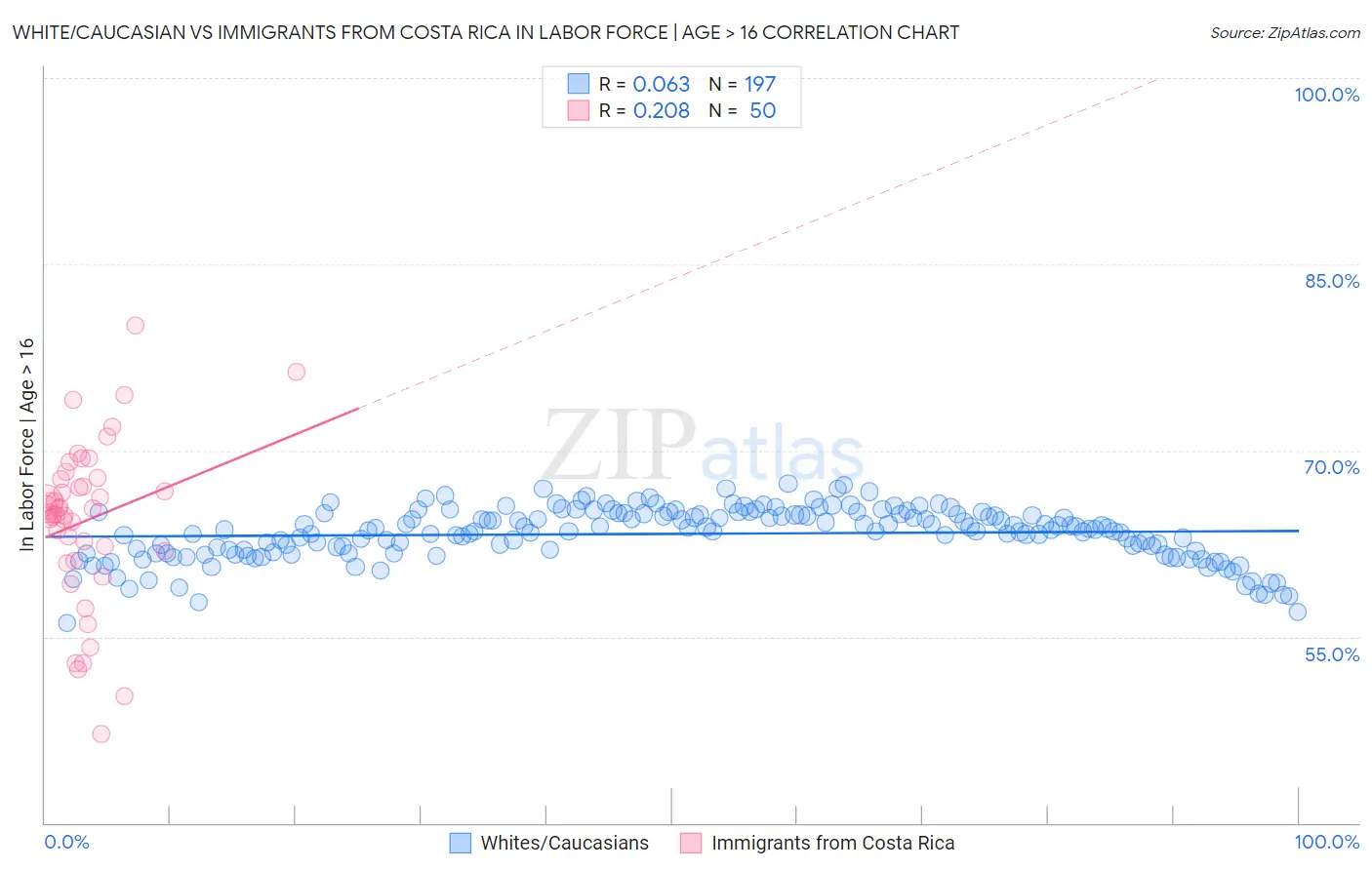 White/Caucasian vs Immigrants from Costa Rica In Labor Force | Age > 16