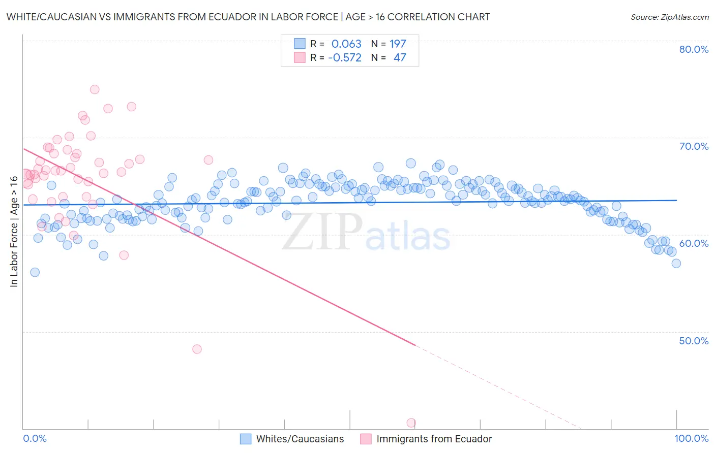 White/Caucasian vs Immigrants from Ecuador In Labor Force | Age > 16